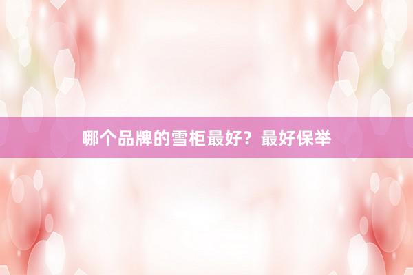 哪个品牌的雪柜最好？最好保举