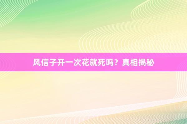风信子开一次花就死吗？真相揭秘